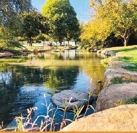 מלון ארץ דפנה // צילום: איה בן עזרי